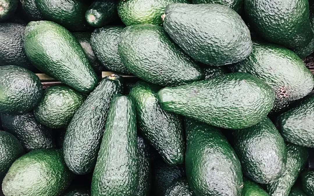 ¿SE PUEDE UTILIZAR EL ACEITE DE AGUACATE PARA EL PELO?